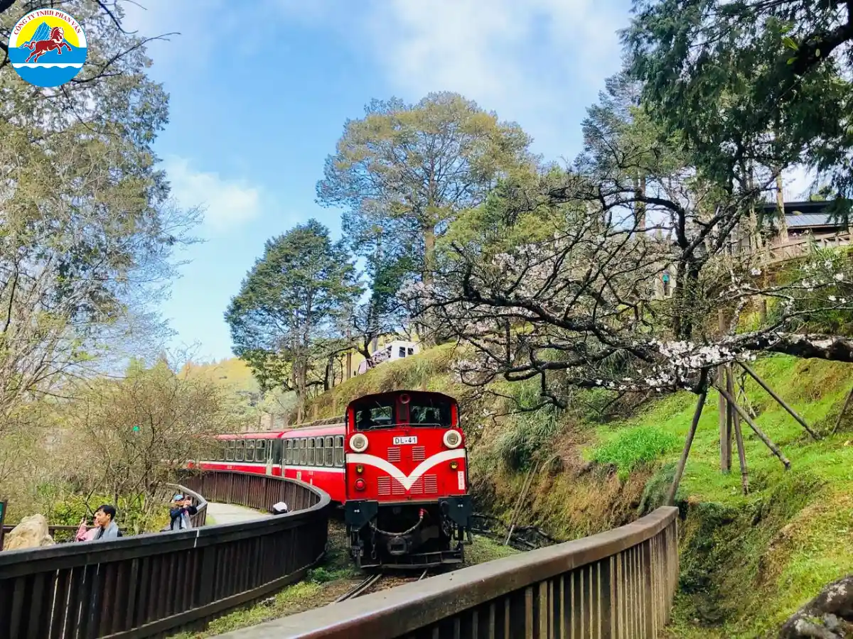 Công viên Quốc gia Alishan