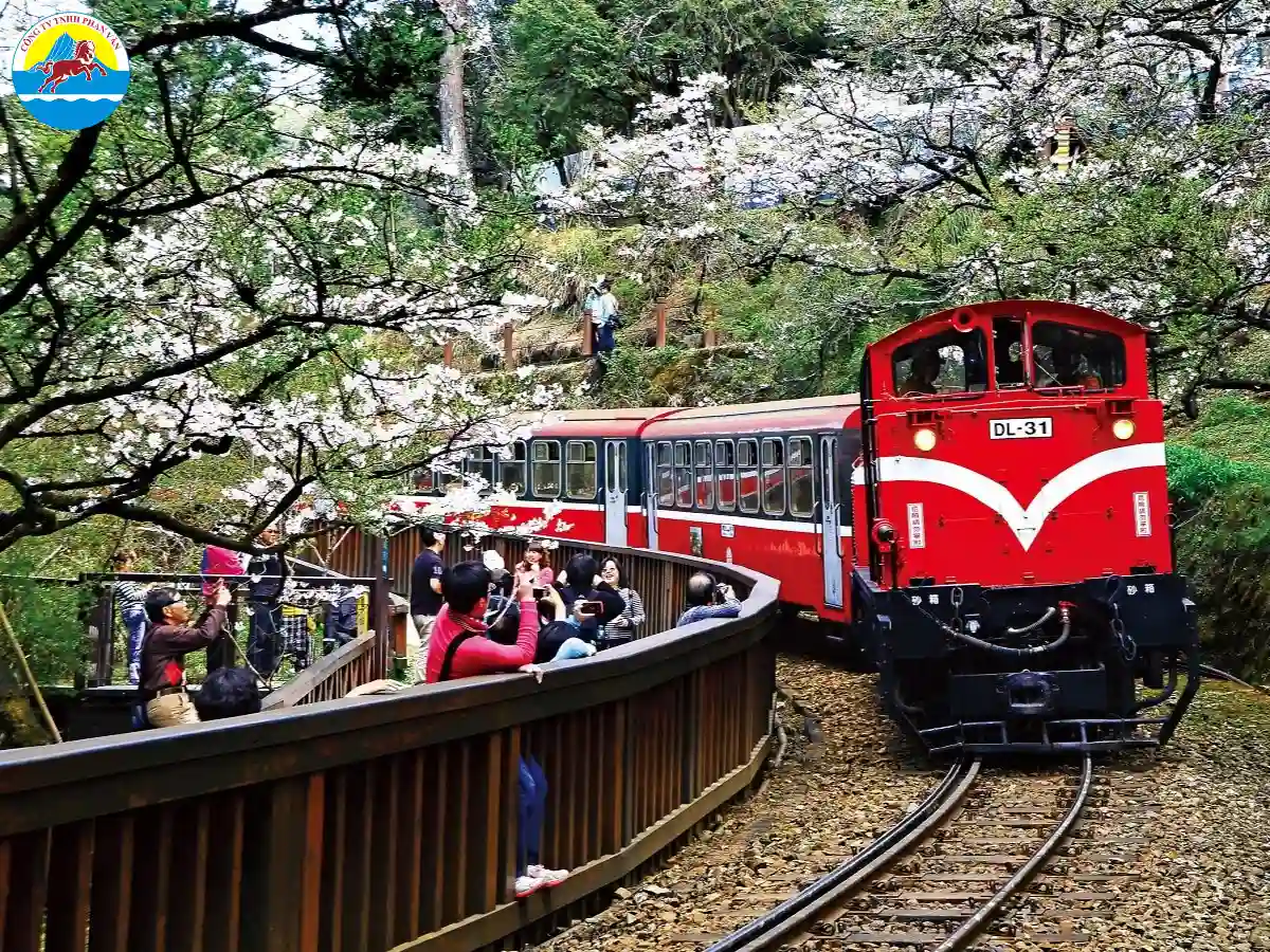 Tàu cao tốc là phương tiện nhanh nhất để di chuyển giữa các thành phố lớn từ Bắc xuống Nam