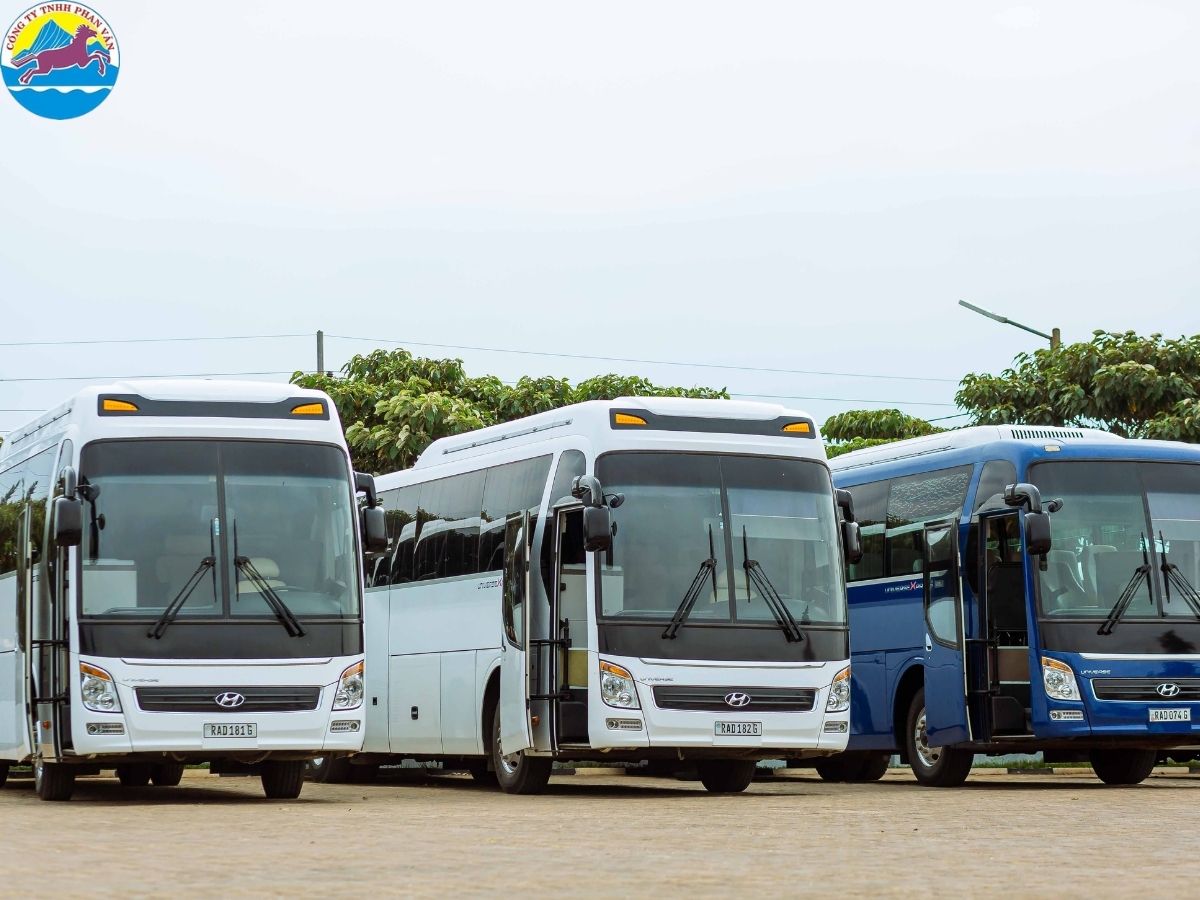 Đội xe đa dạng đáp ứng mọi nhu cầu