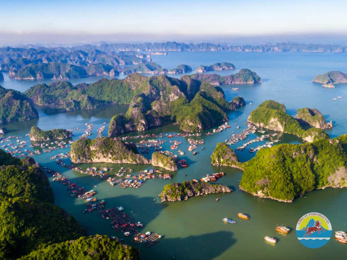 Đảo Cát Bà