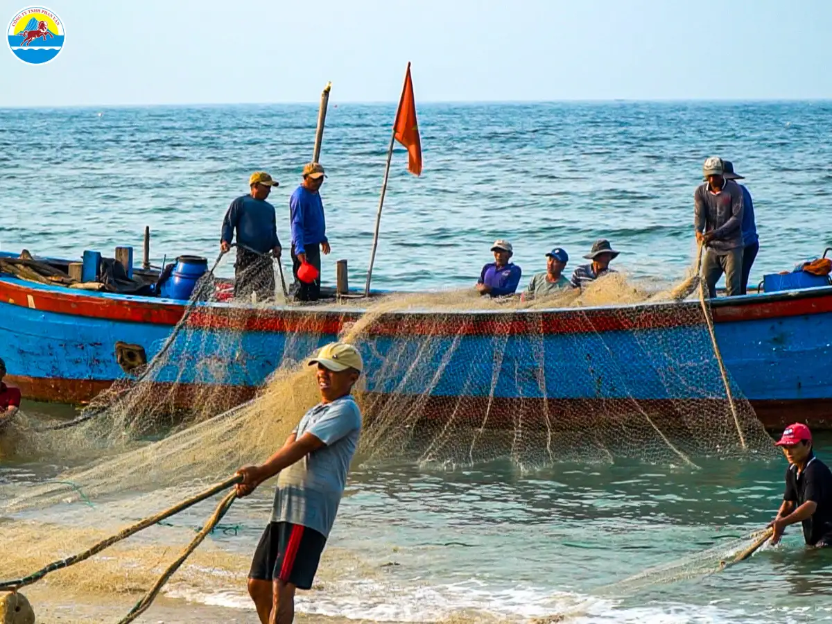 cù lao xanh quy nhơn bình định​