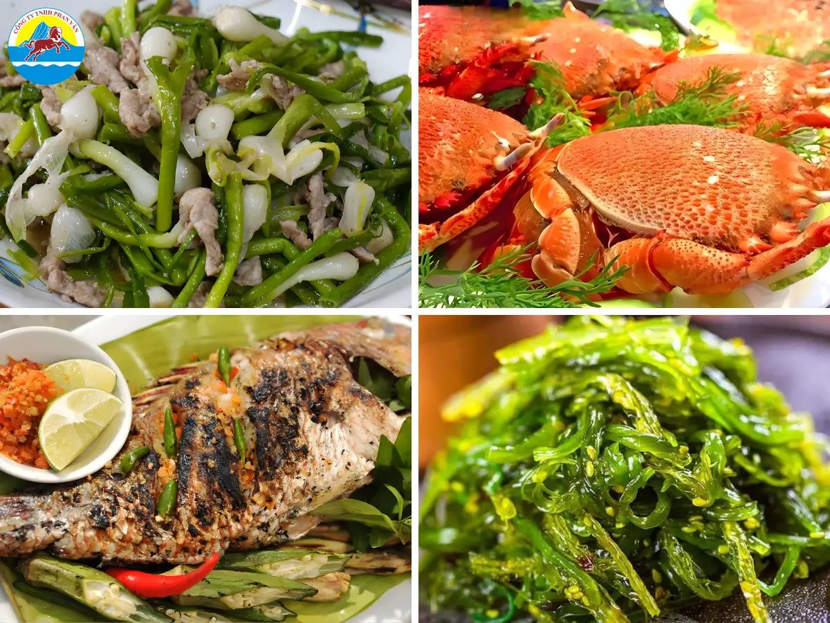 đảo Lý Sơn Quảng Ngãi