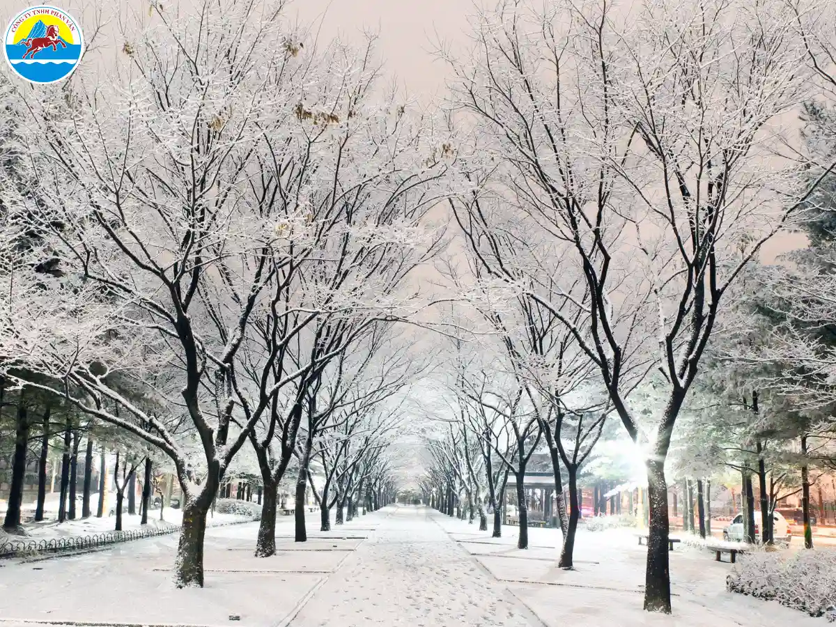 tour hàn quốc 3 ngày 2 đêm