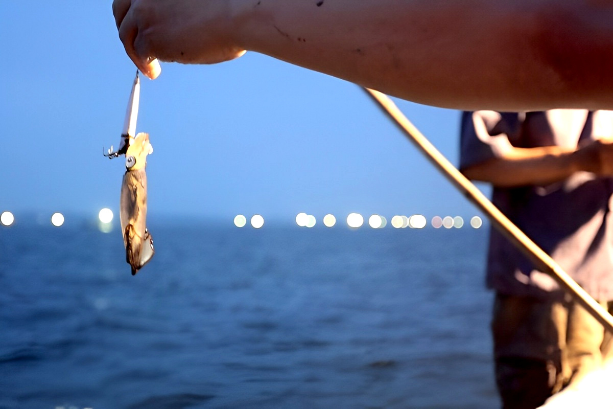 Trải nghiệm tour ghép câu mực đêm