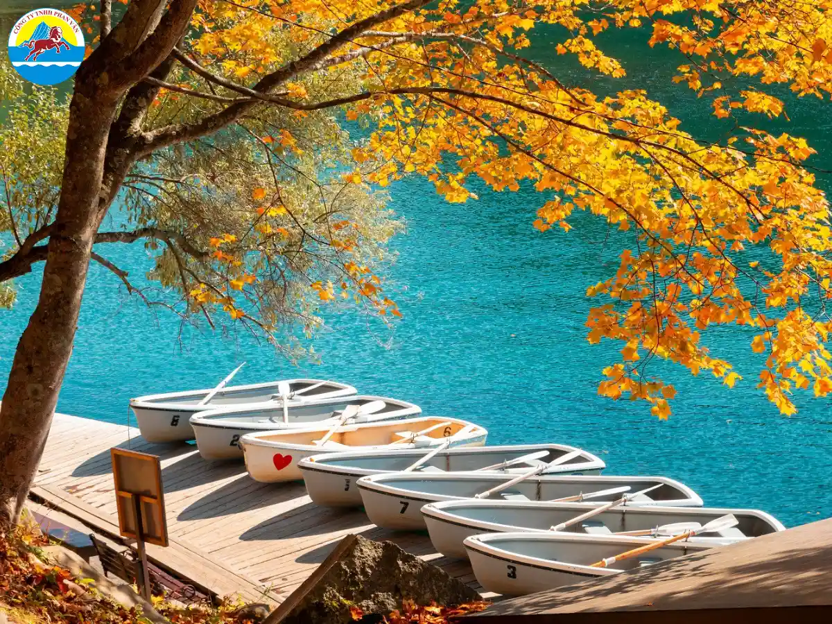 Phan Văn Travel là đơn vị lữ hành chuyên tour du lịch Đài Loan