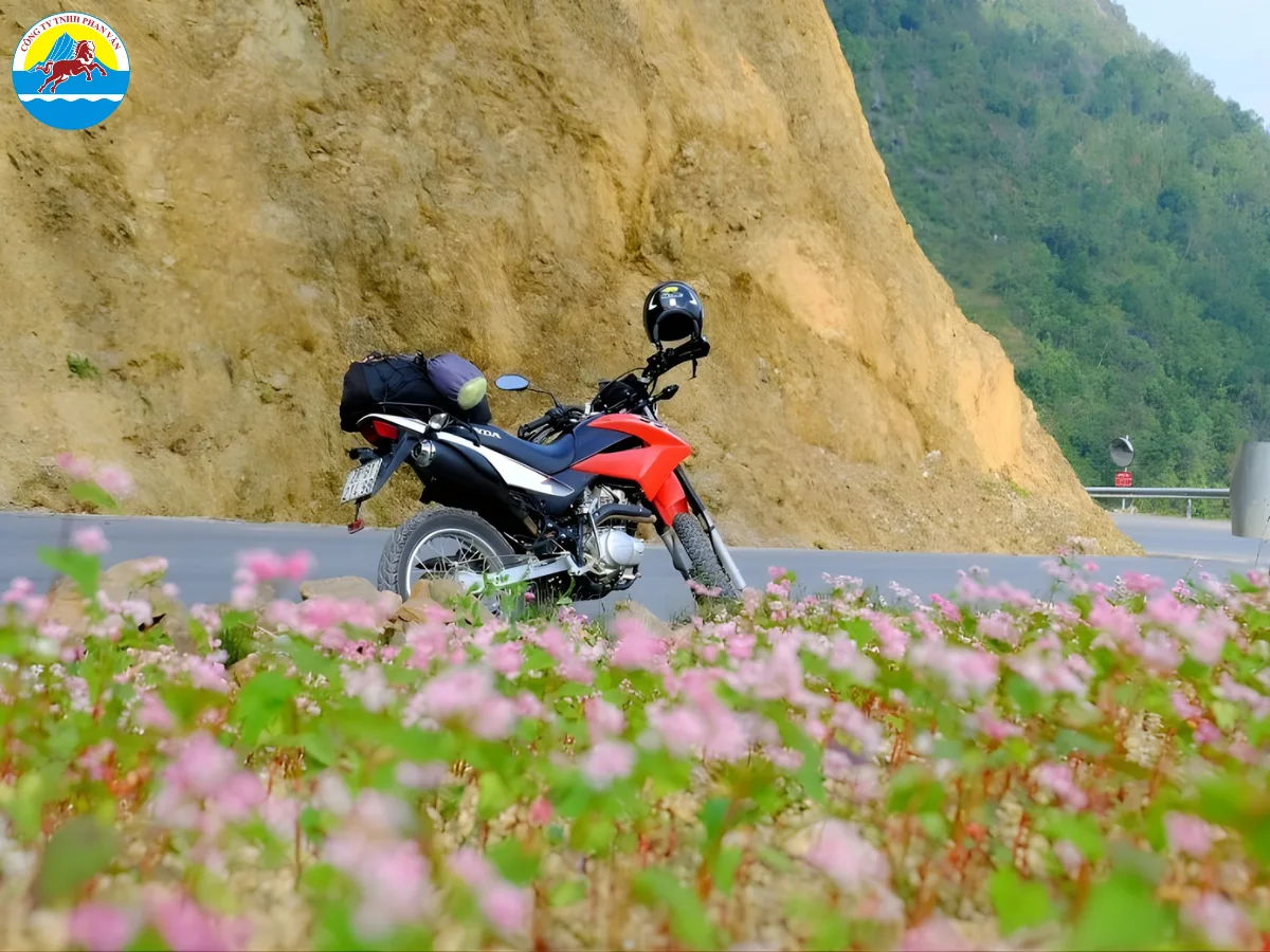 Nên lựa chọn phương tiện hợp lý