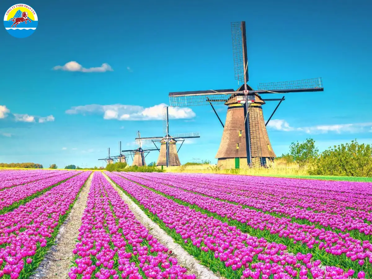 Kinderdijk