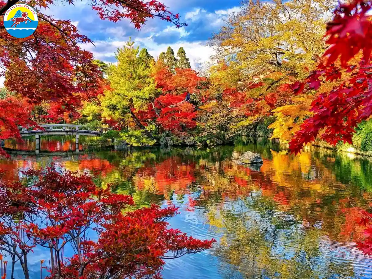 Sắc đỏ của rừng cây tại Trương Gia Giới