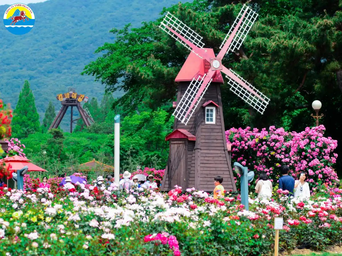Seoul Grand Park Rose Festival