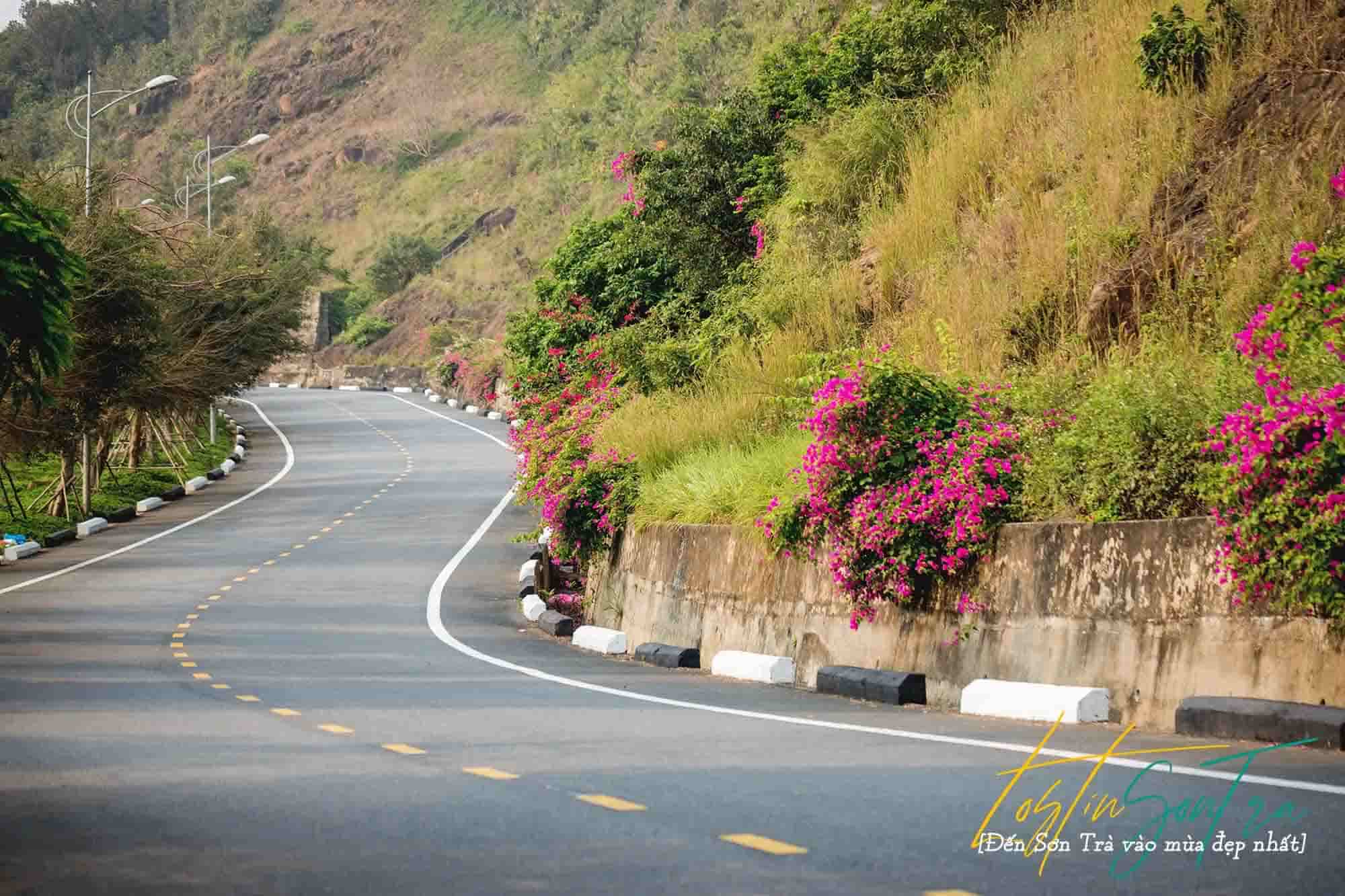 Địa chỉ sống ảo của giới trẻ Đà Thành