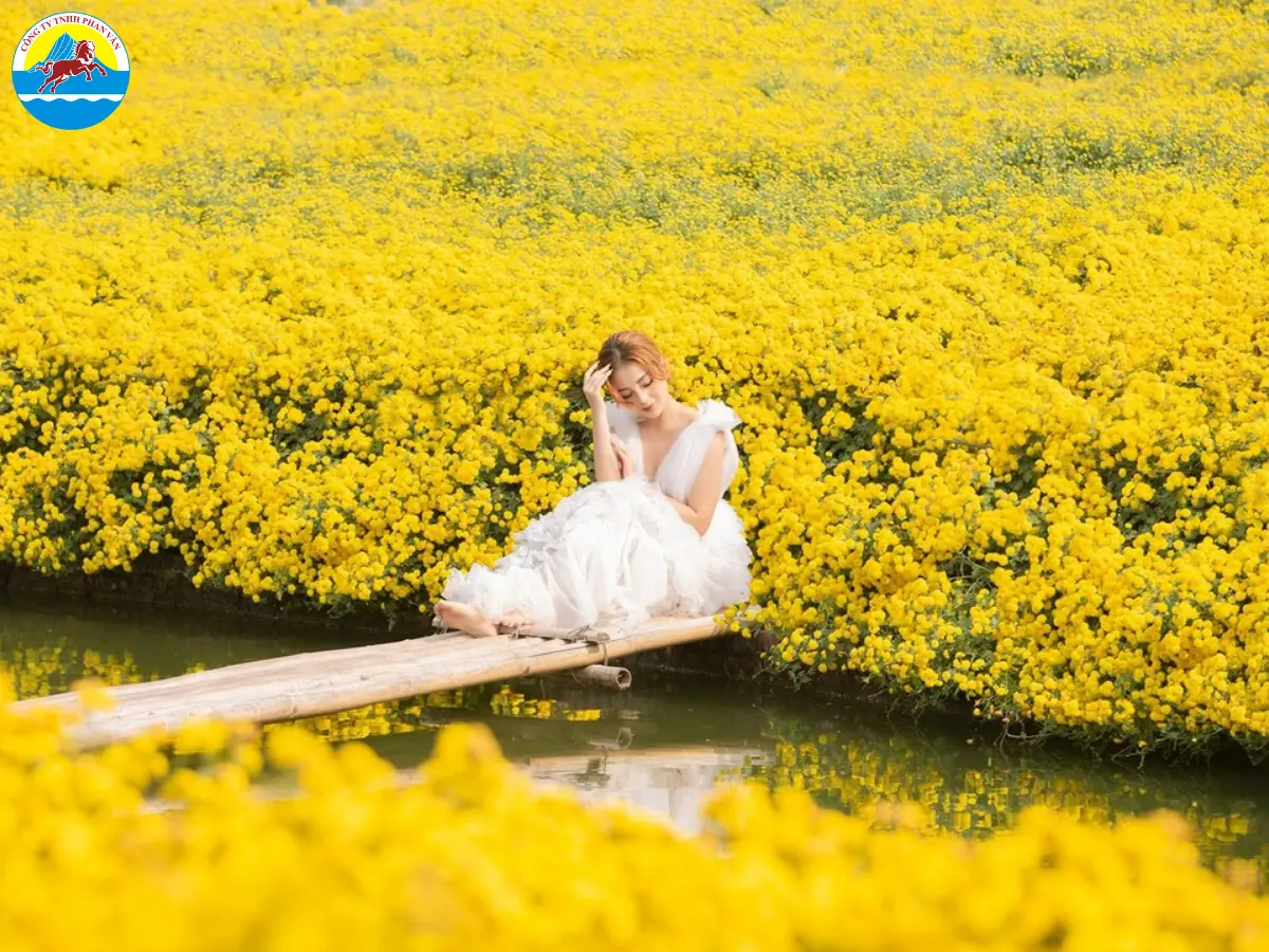 Thung lũng Hoa Hồ Tây