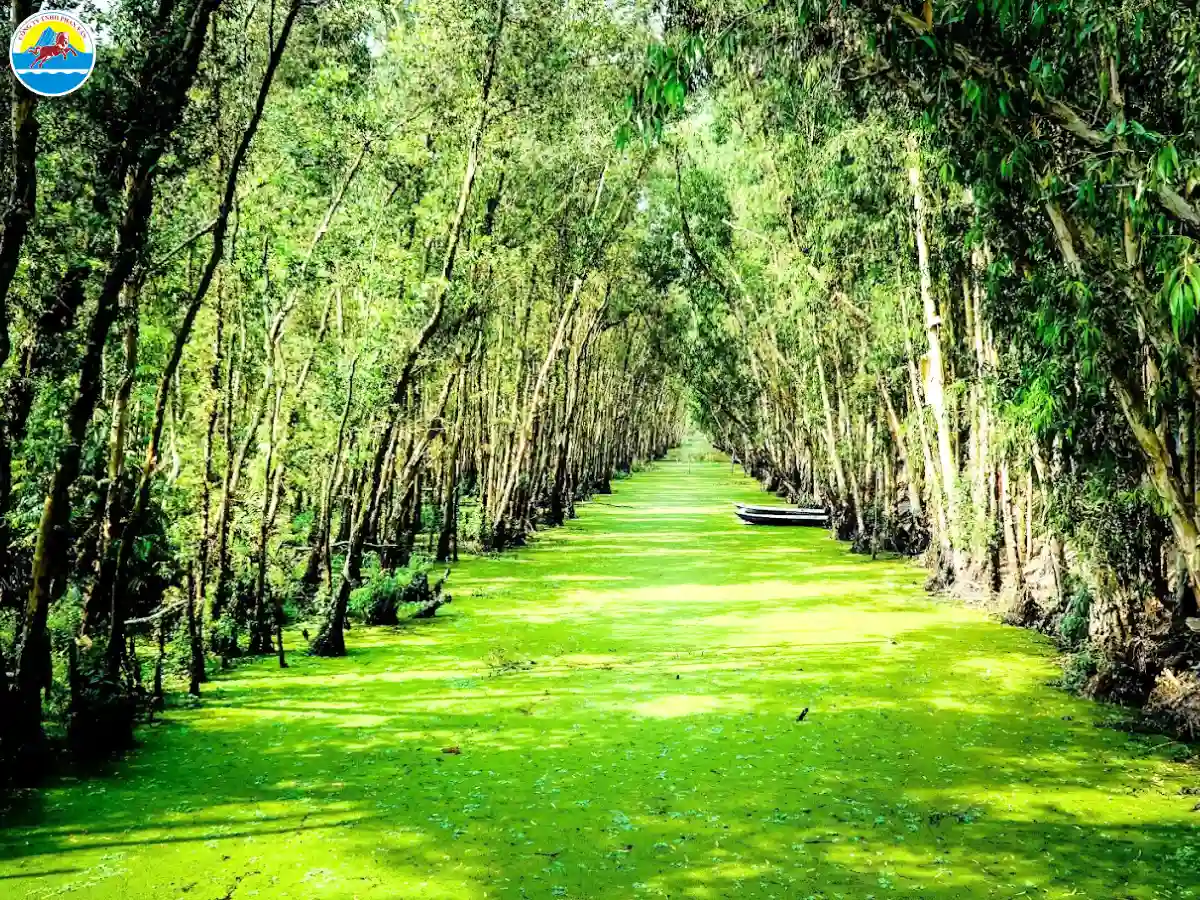 du lịch an giang​