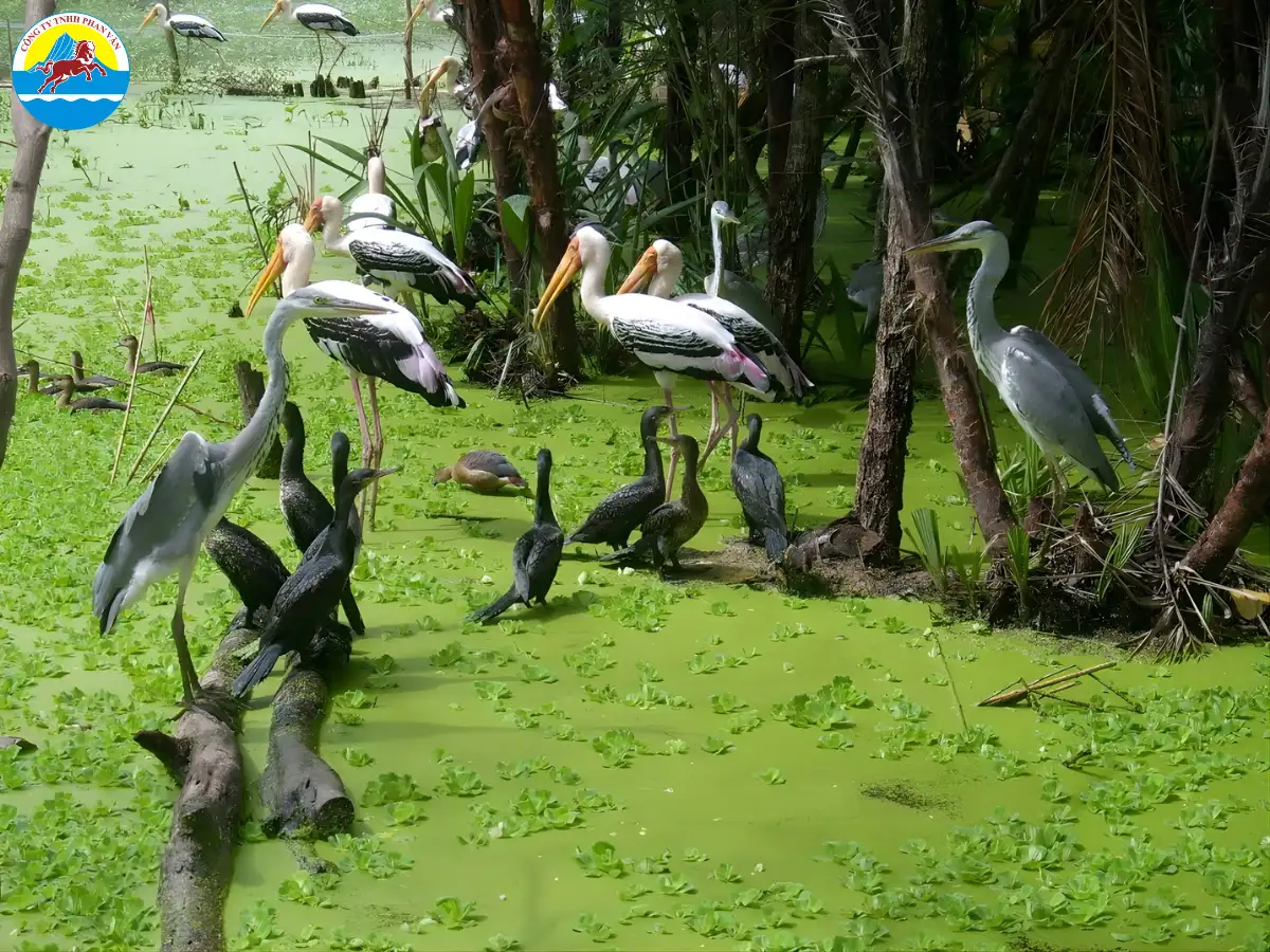 địa điểm du lịch Bạc Liêu