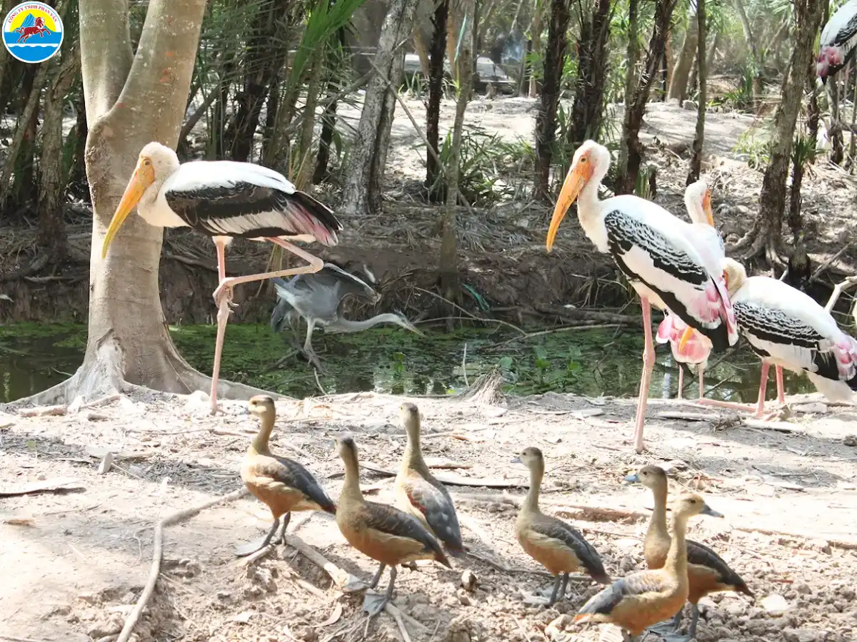 du lịch bạc liêu​