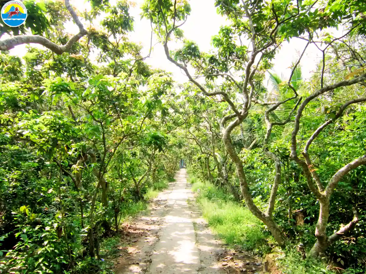 các điểm du lịch bến tre