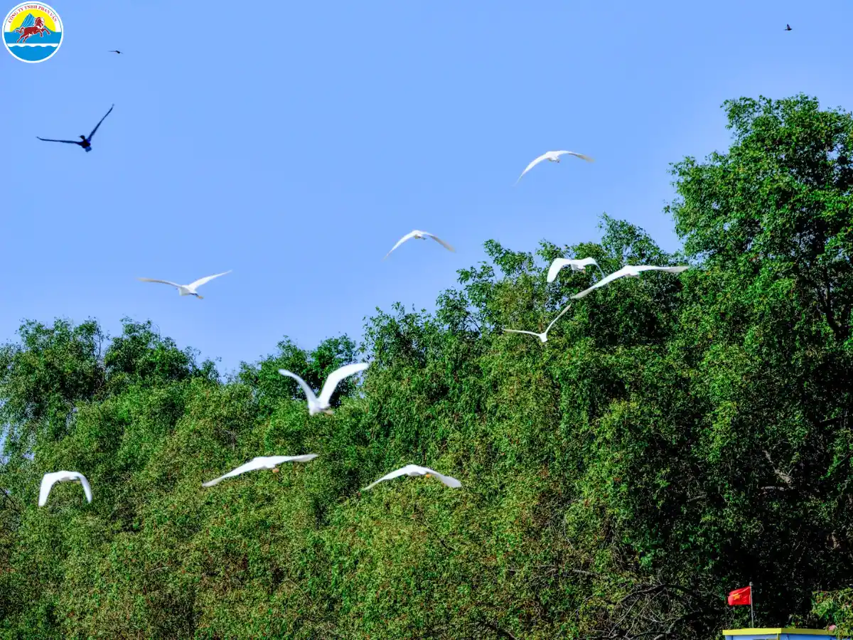 địa điểm khu du lịch bến tre