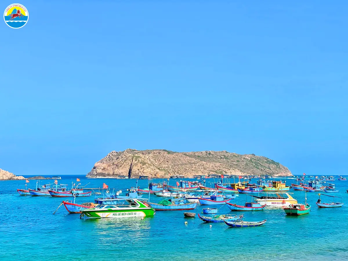 địa điểm du lịch bình định​