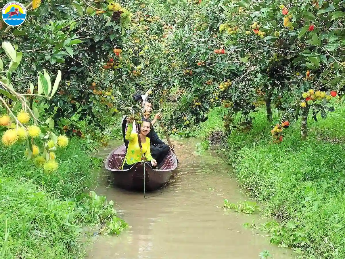 du lịch bình dương​