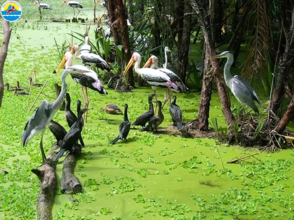 địa điểm du lịch ở cà mau​