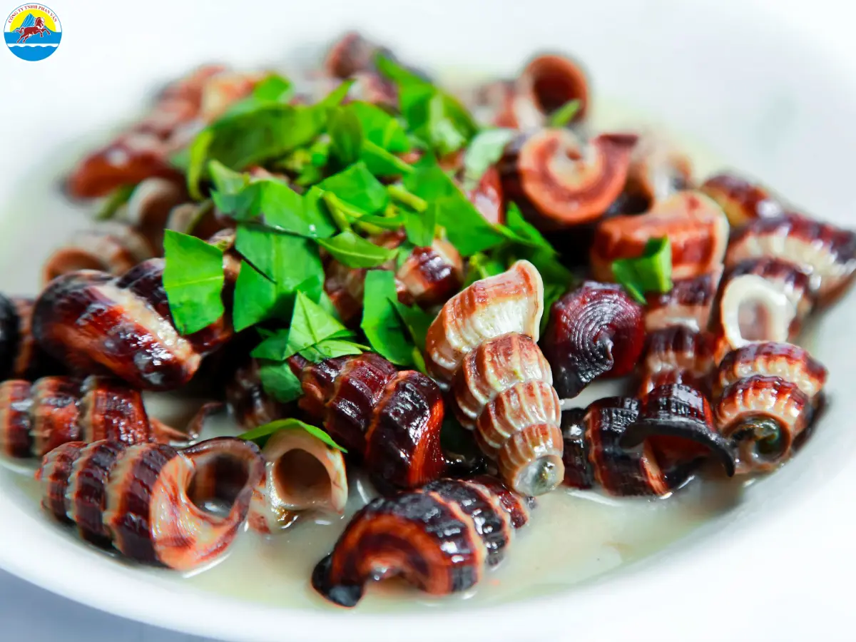 du lịch cà mau có gì​