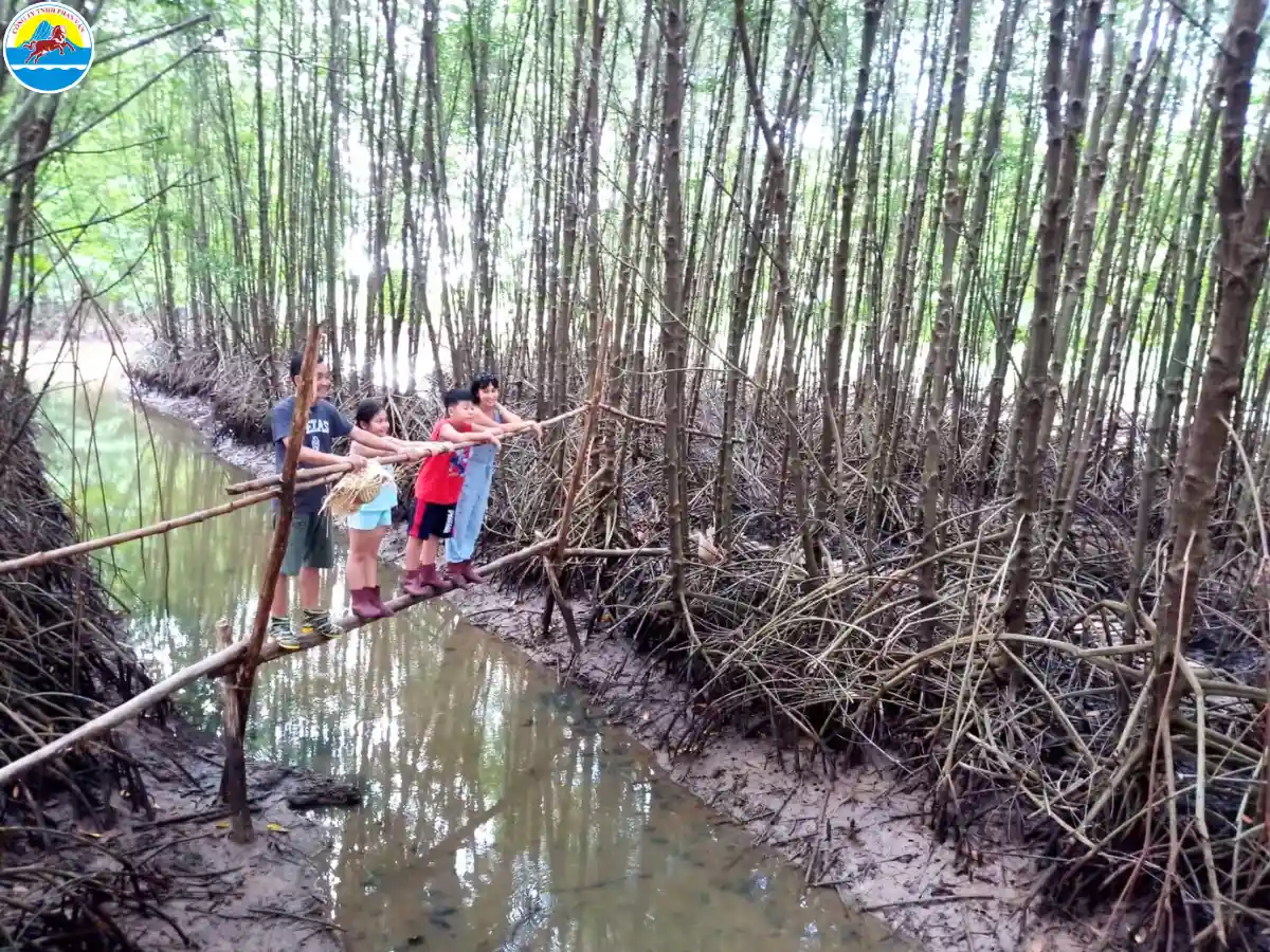 du lịch cà mau​