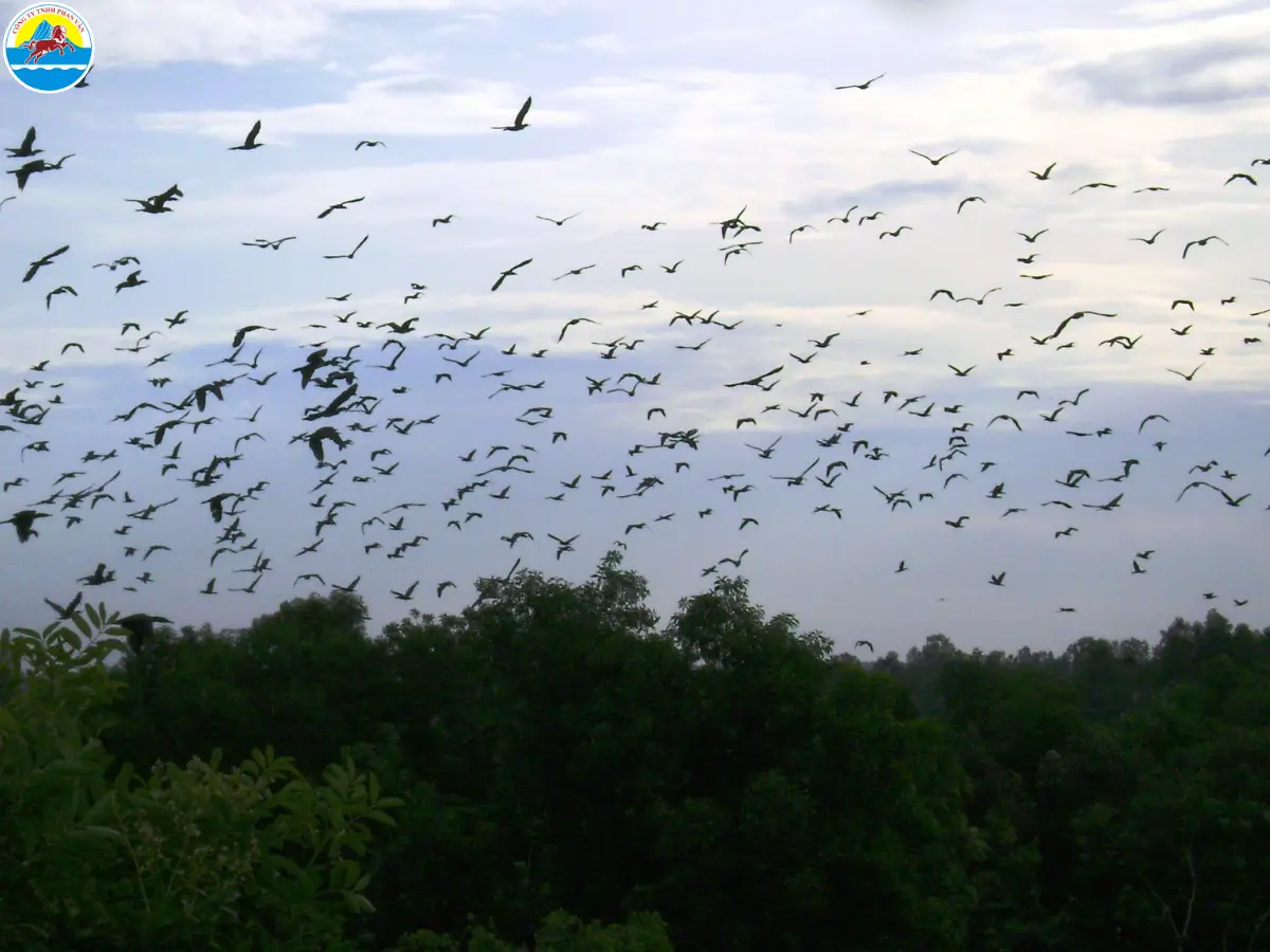 du lịch cà mau có gì​