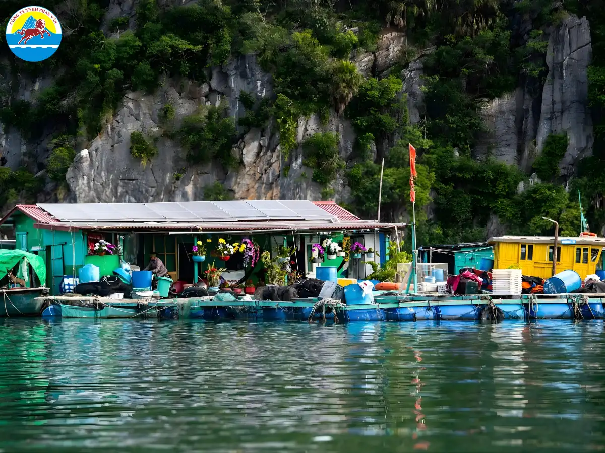 Làng chài Cái Bèo