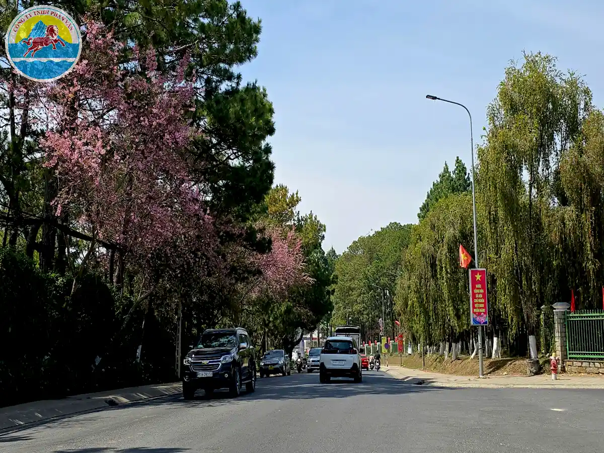 du lịch đà lạt miễn phí​