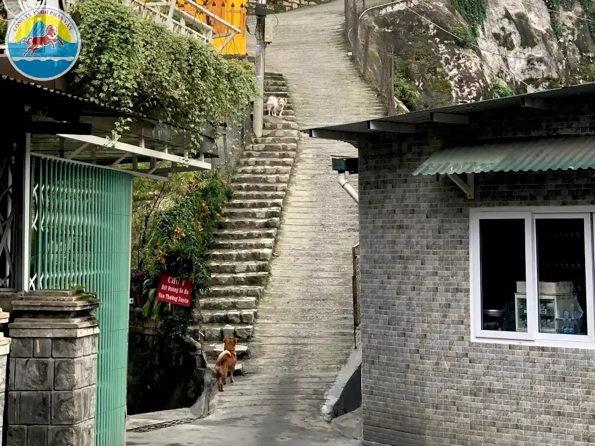 các địa điểm du lịch đà lạt miễn phí​