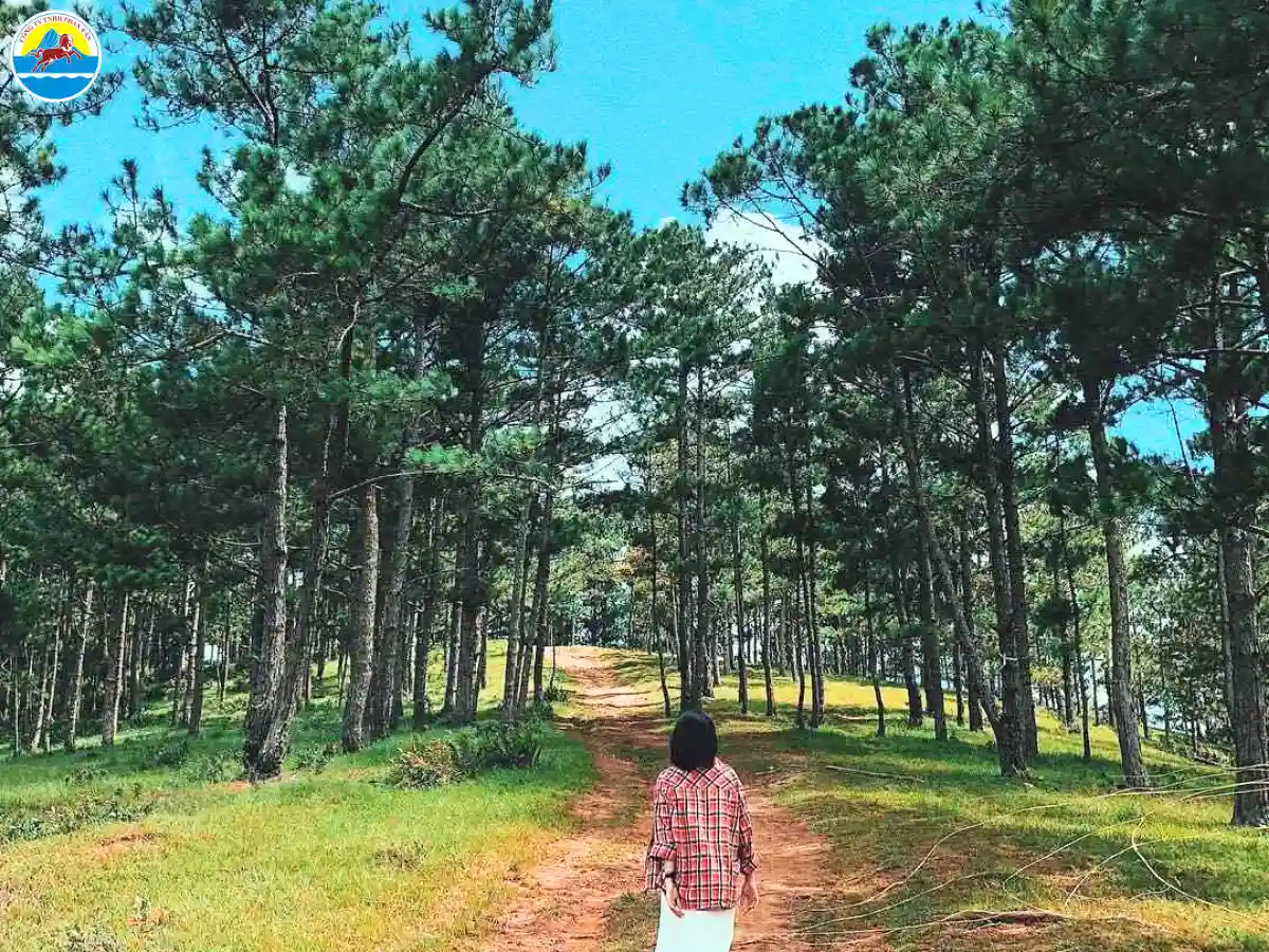 điểm du lịch mới ở đà lạt