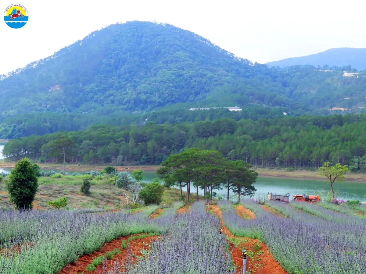 đà lạt có những điểm du lịch nào