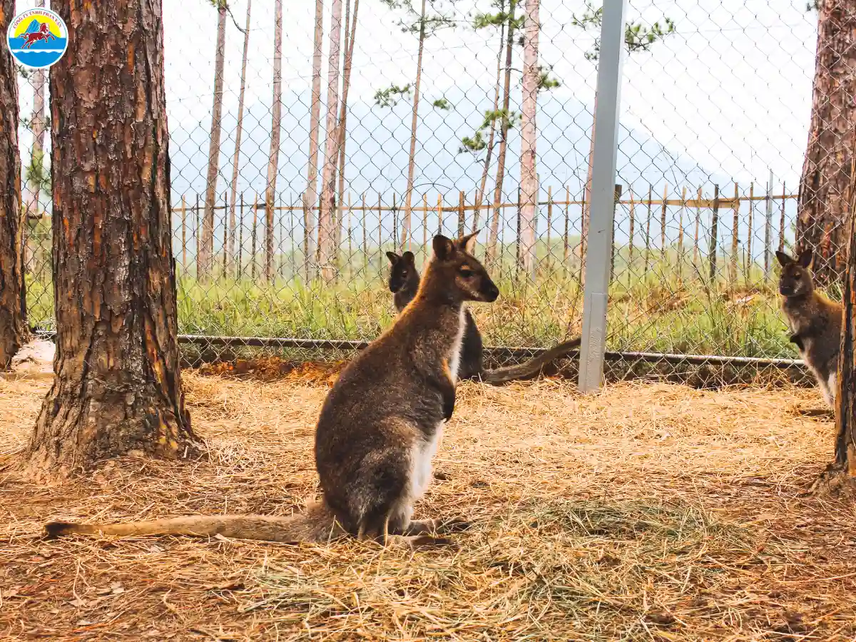 điểm du lịch đà lạt