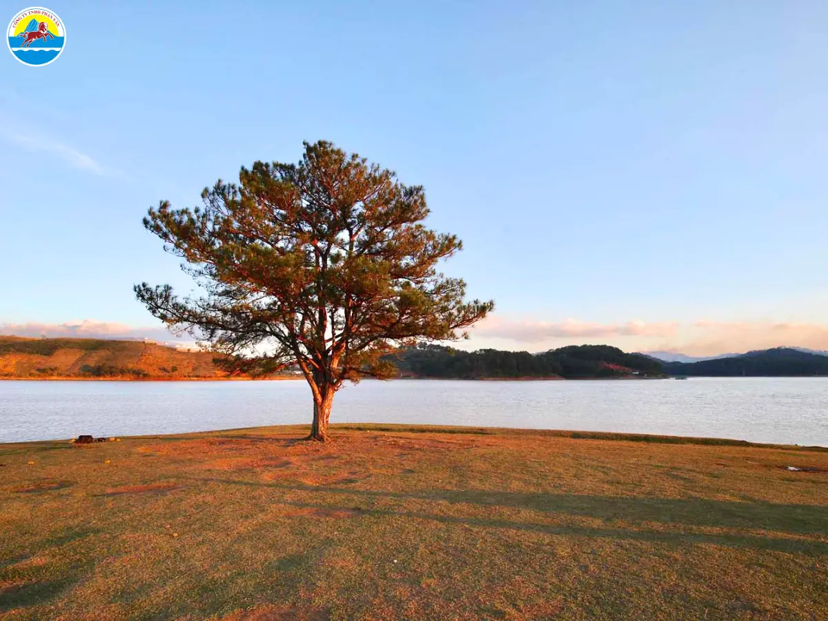 địa điểm du lịch đà lạt gần trung tâm