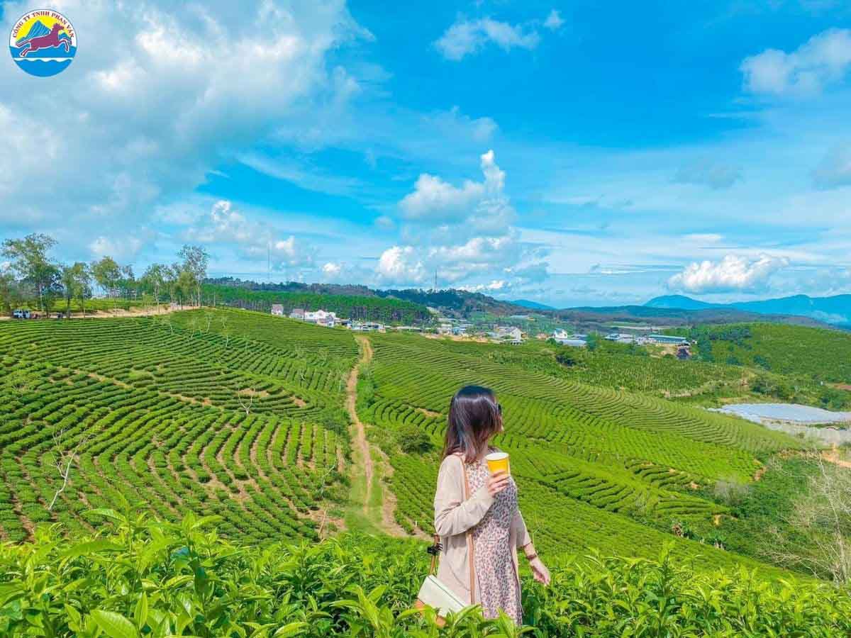 Tour du lịch của Phan Văn Travel đảm bảo giúp bạn không bỏ lỡ bất kỳ khoảnh khắc đẹp nào