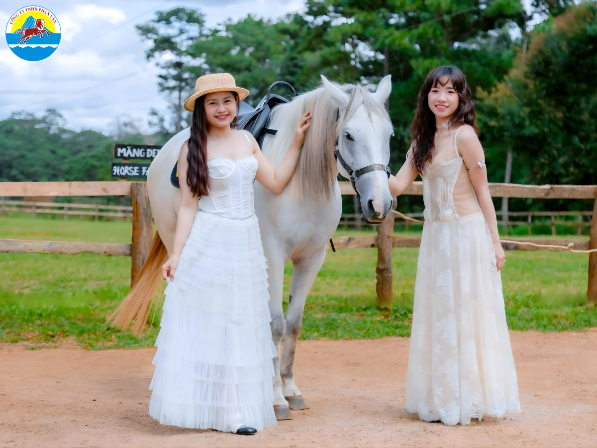 địa điểm du lịch Gia Lai​