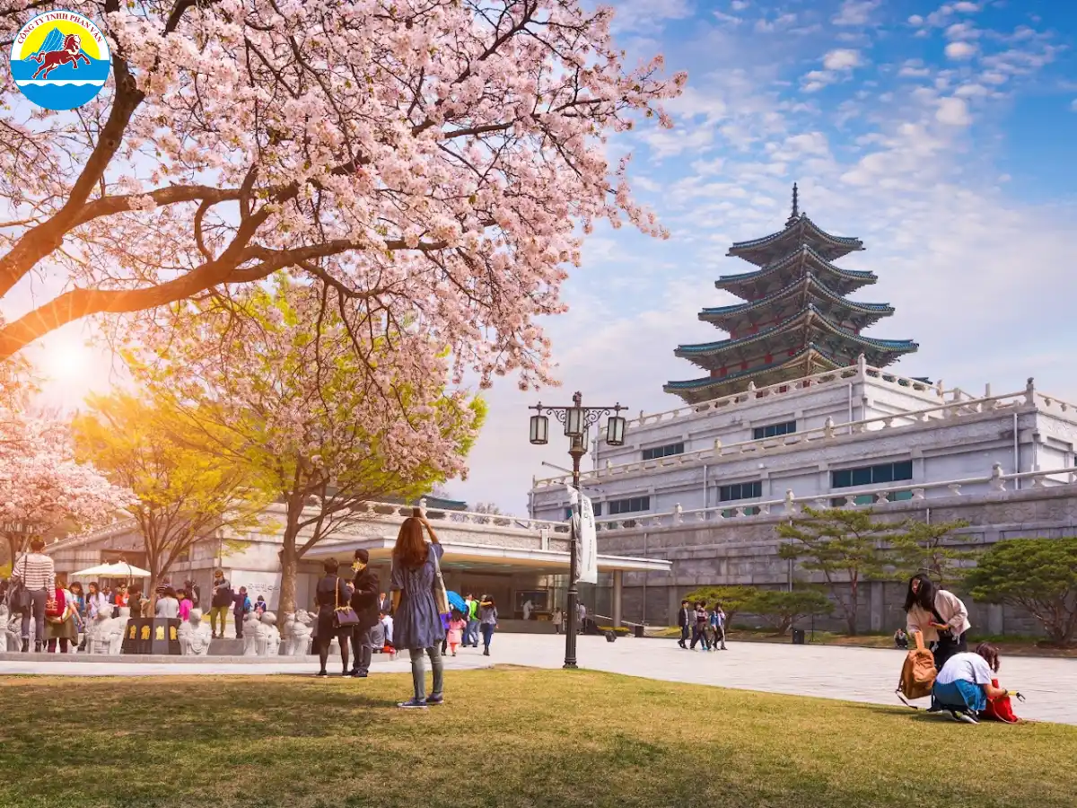 Phan Văn Travel đã thiết kế những gói tour mùa hè được tối ưu hóa dựa trên 20 năm kinh nghiệm