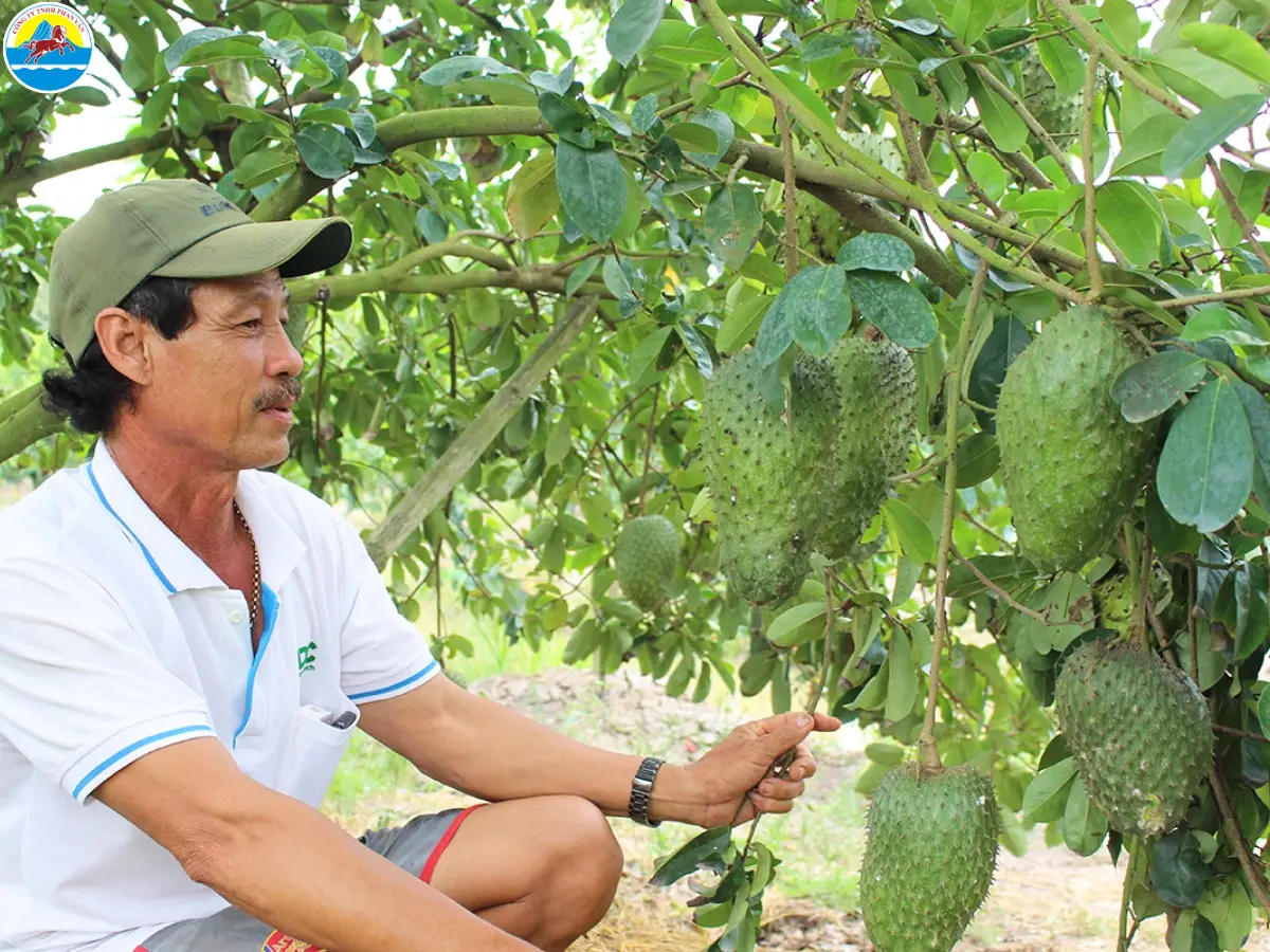 du lịch long an​