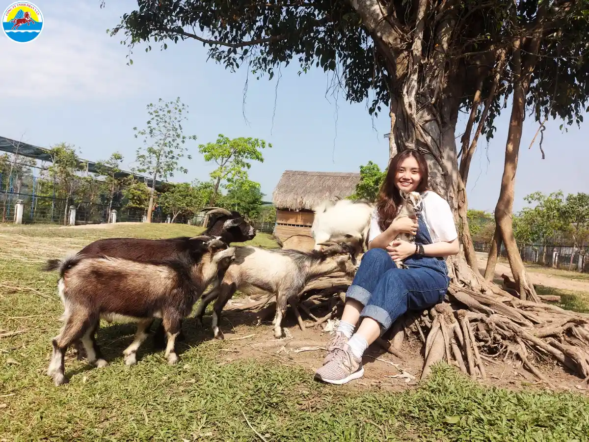 du lịch long an​