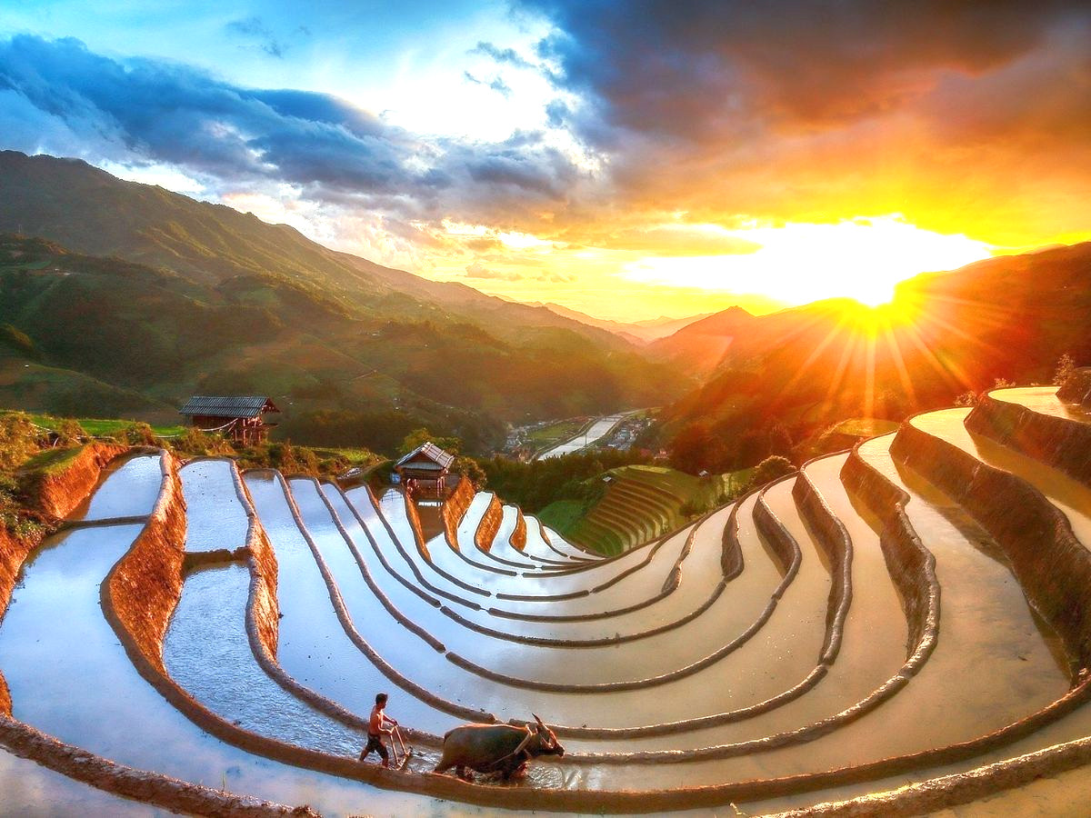 du lịch Mù Cang Chải vào mùa hè