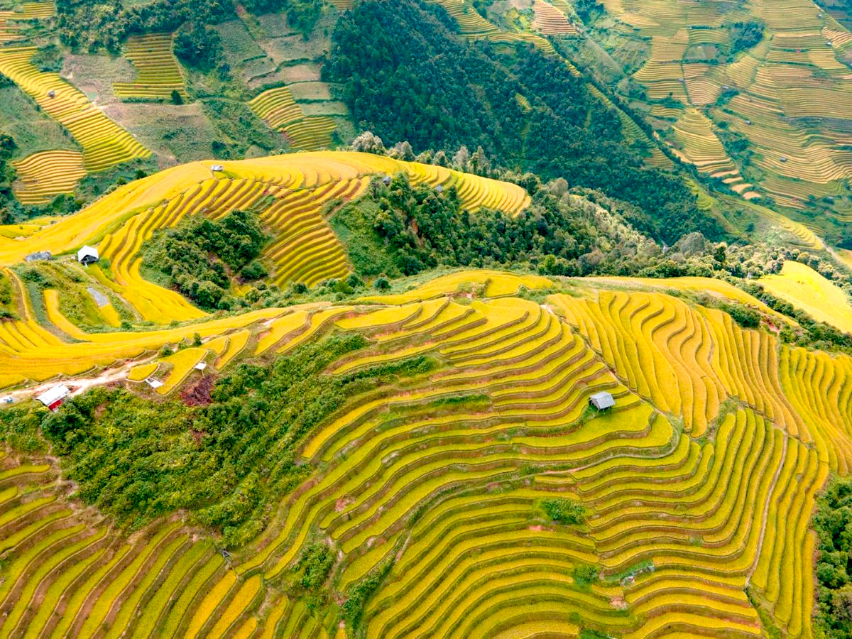 du lịch Mù Cang Chải