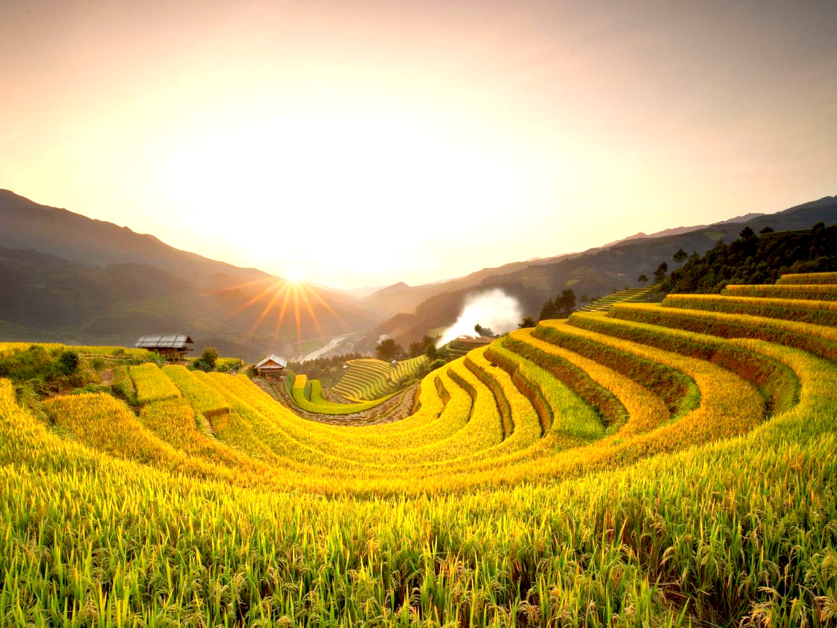 du lịch Mù Cang Chải vào mùa hè