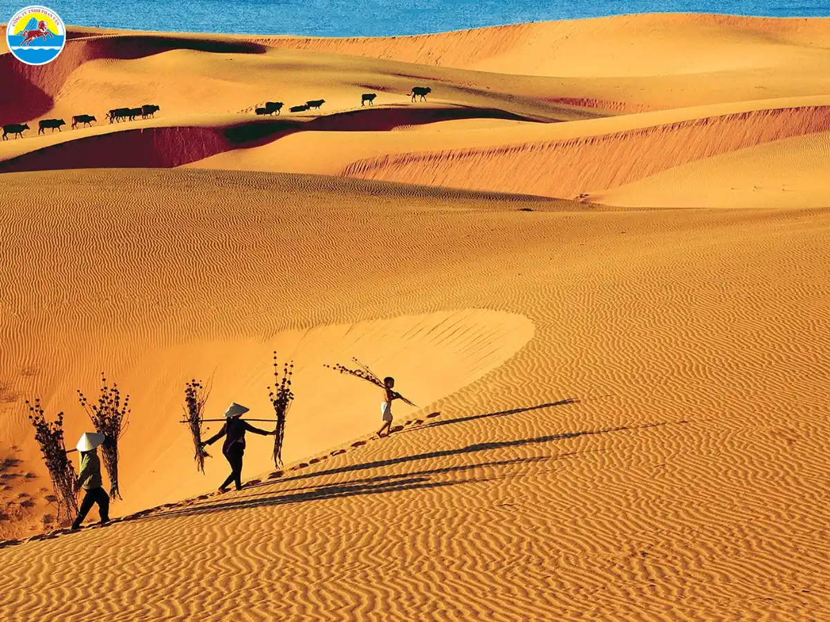 du lịch mũi né phan thiết
