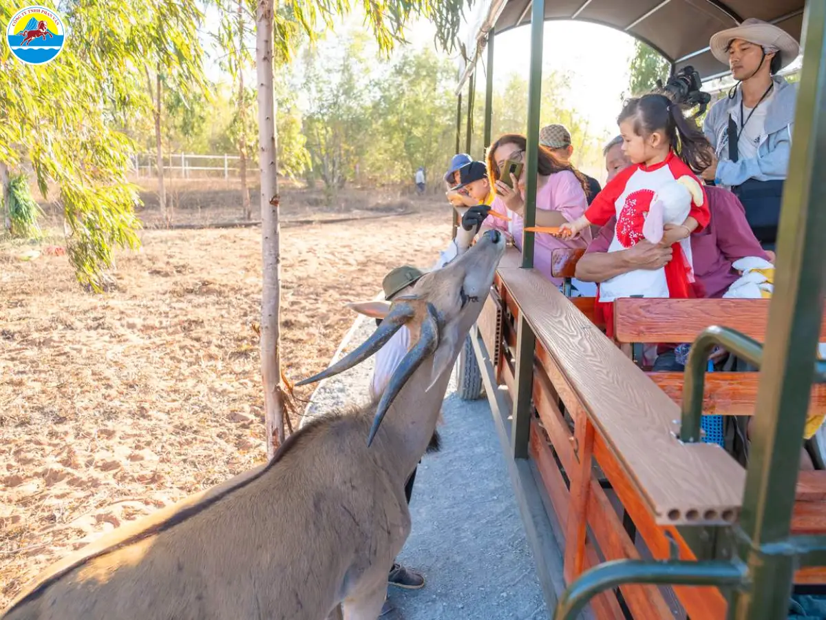 du lịch mũi né phan thiết