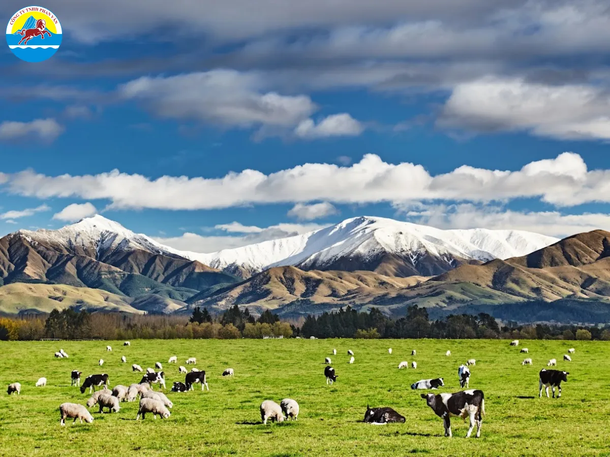 địa điểm du lịch New Zealand