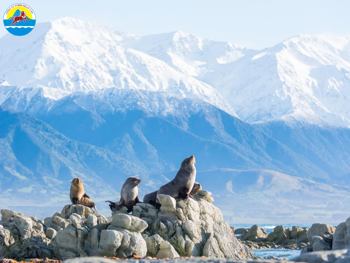 địa điểm du lịch New Zealand