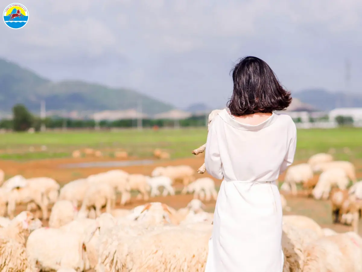 du lịch nghệ an​