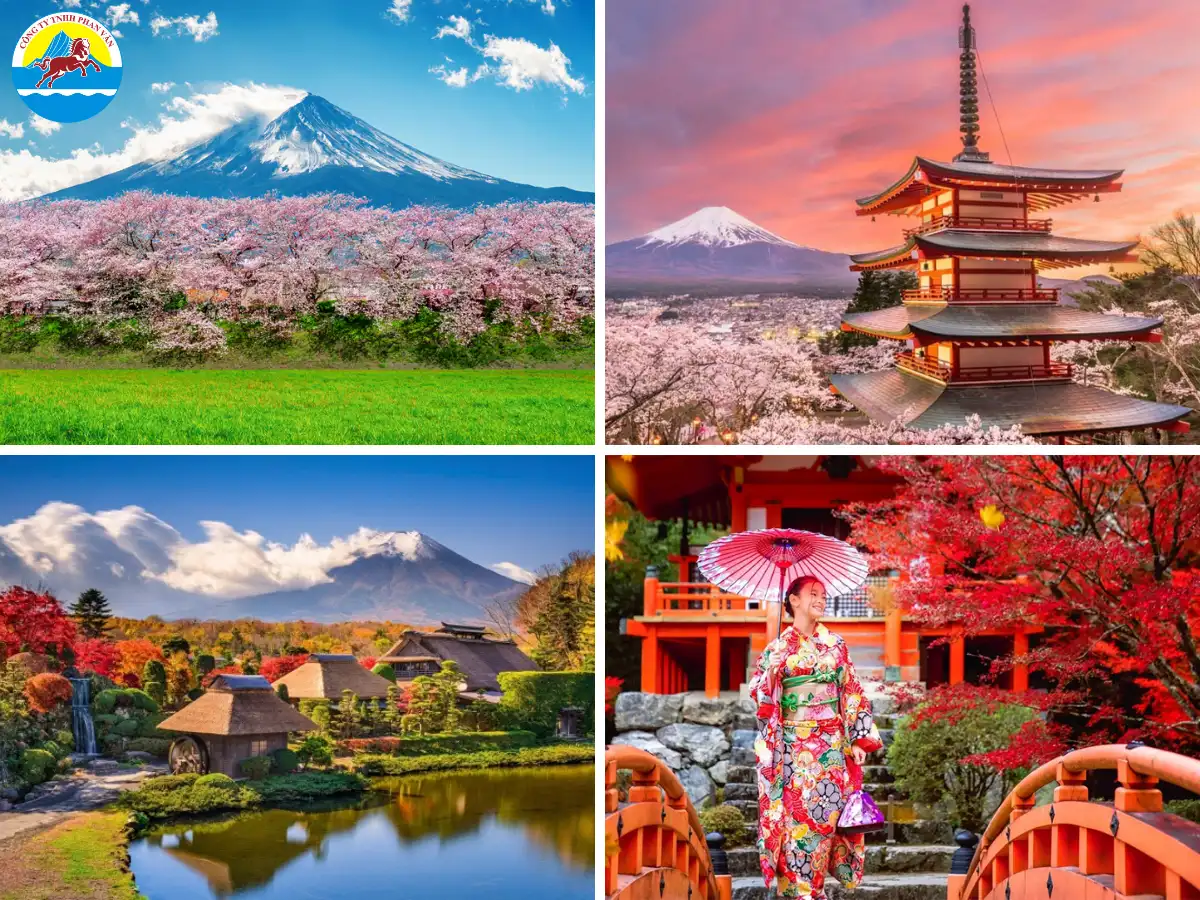 Mùa xuân và mùa thu được xem là hai khoảng thời gian lý tưởng nhất để ghé thăm "đất nước mặt trời mọc"