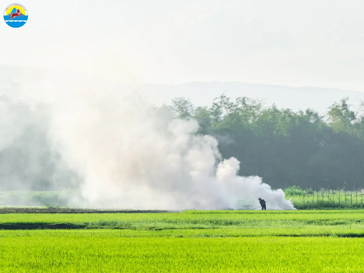 du lịch sơn hòa phú yên