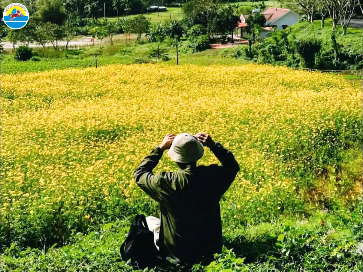 các điểm du lịch phú yên