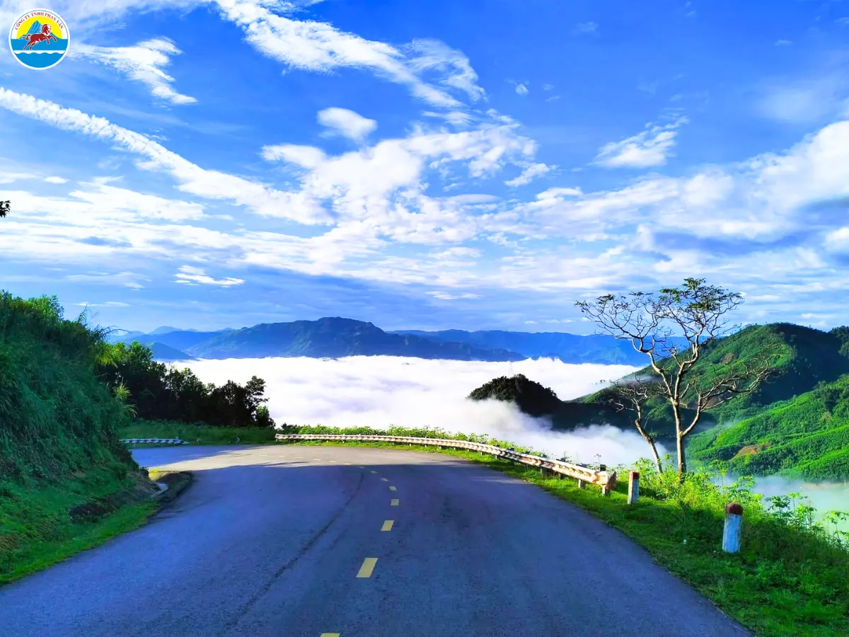 địa điểm du lịch quảng ngãi​